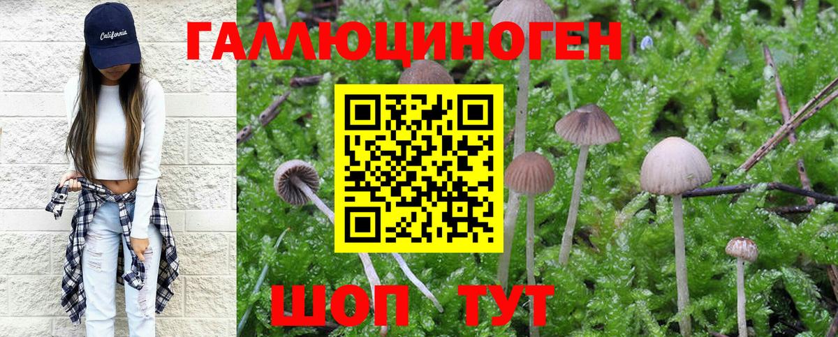 Галлюциногенные грибы ЛСД  Галлюциногенные грибы мухоморы  Вход с VPN  Похвистнево 